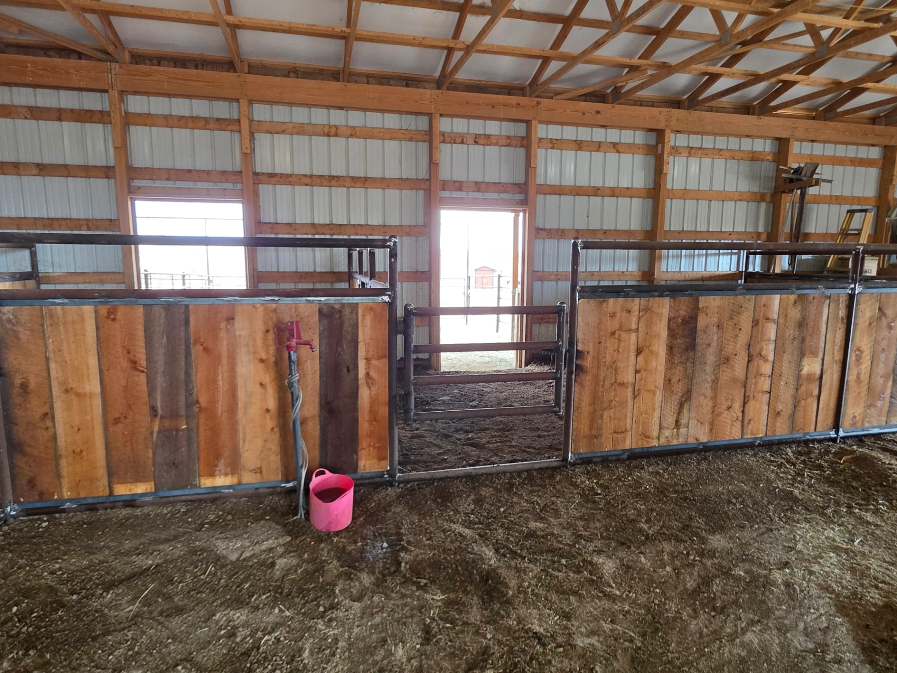 Equine Pipe Fence & Arenas