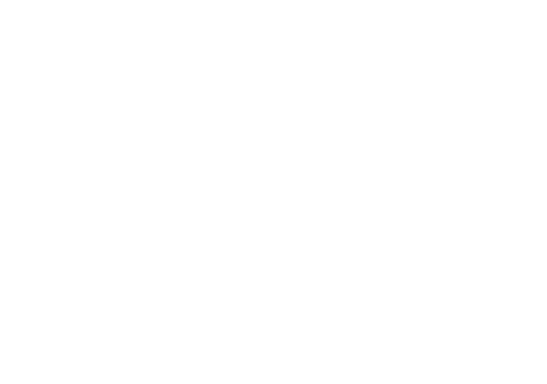 Northern Star Fencing