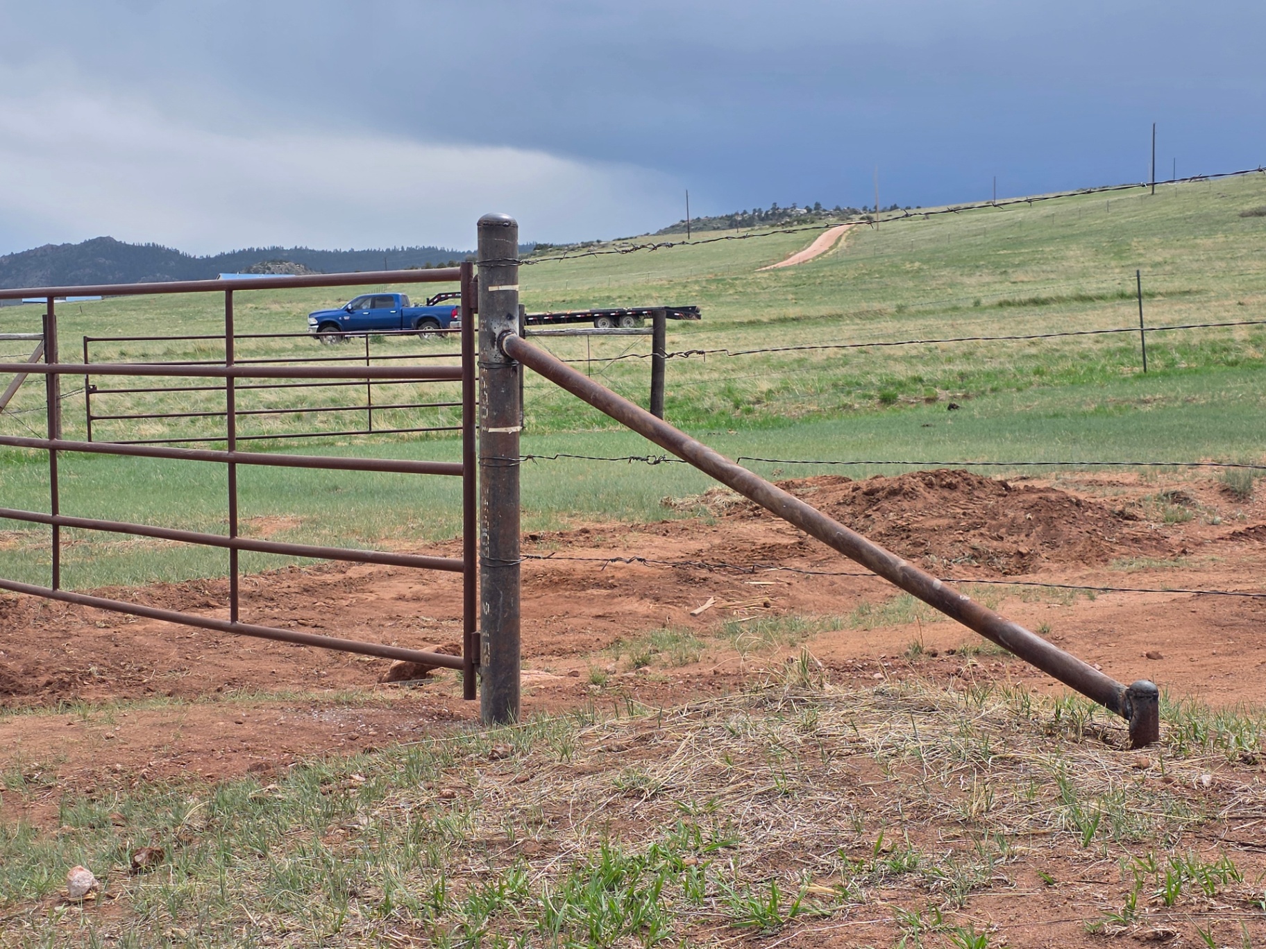 Wire Fence with Welded Braces