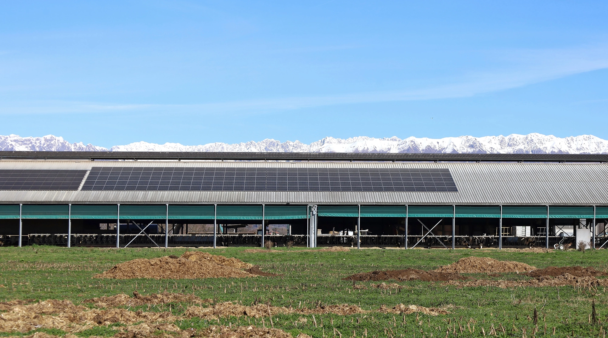 Irrigation Pipe & Pivot Tie-Ins project in Northern Colorado